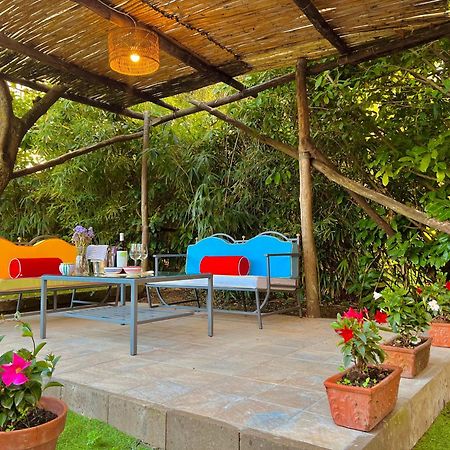 La Dimora: Relax In A Lovely Garden Massa Lubrense Exterior foto
