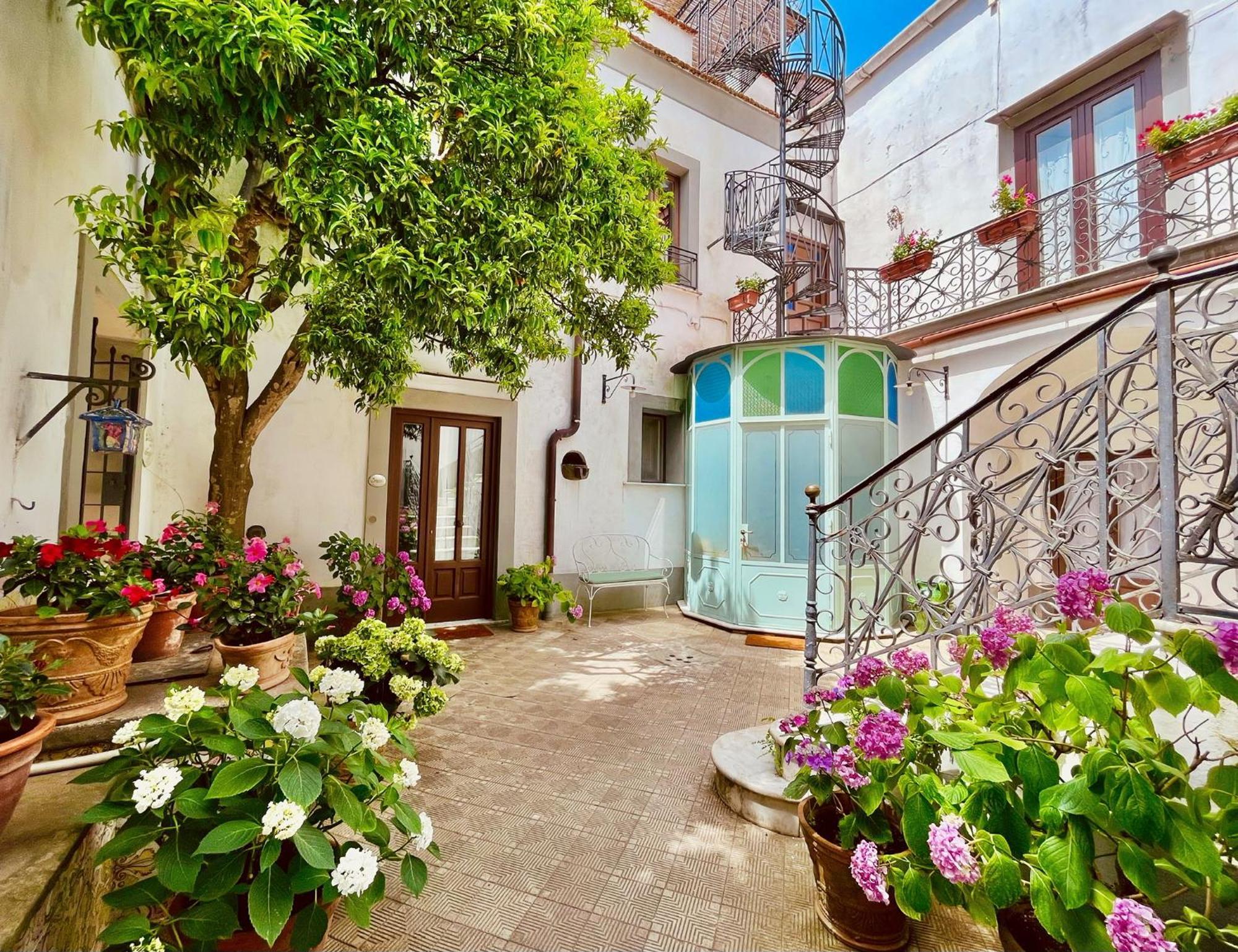 La Dimora: Relax In A Lovely Garden Massa Lubrense Exterior foto